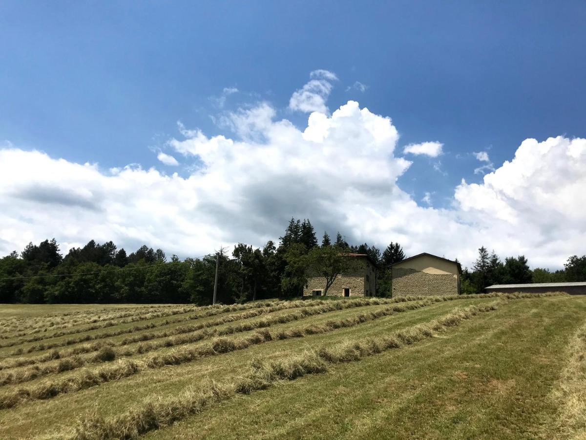 Agriturismo Il Casone San Benedetto Val di Sambro Экстерьер фото