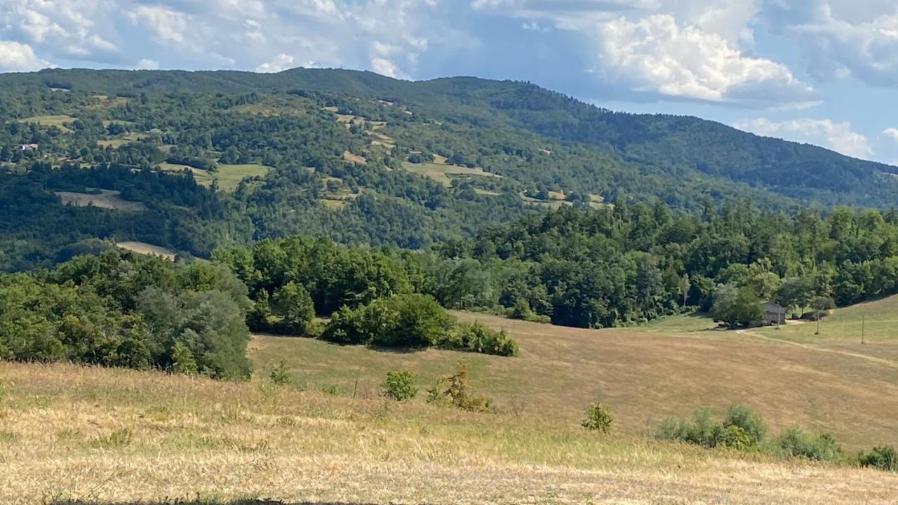 Agriturismo Il Casone San Benedetto Val di Sambro Экстерьер фото