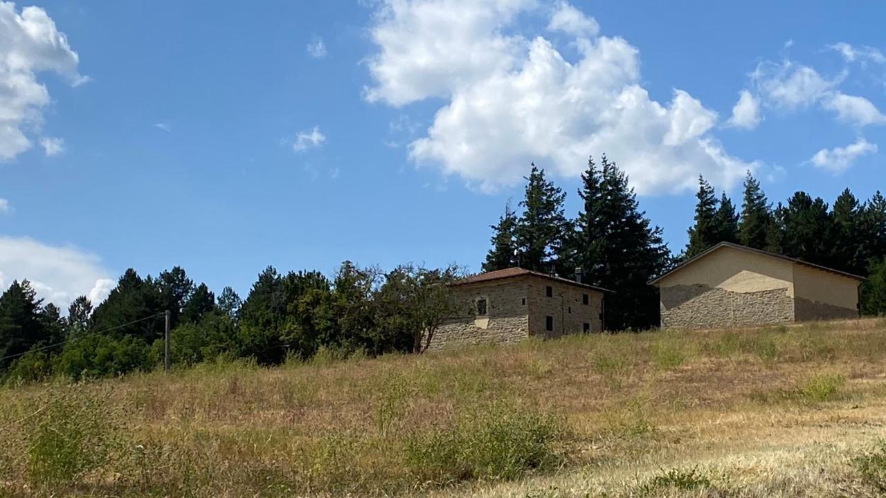 Agriturismo Il Casone San Benedetto Val di Sambro Экстерьер фото